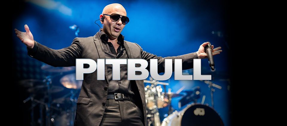 pitbull