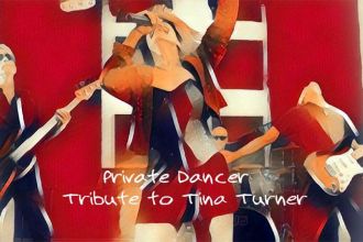 Private Dancer Tina Turner Tribute at Casino Del Sol